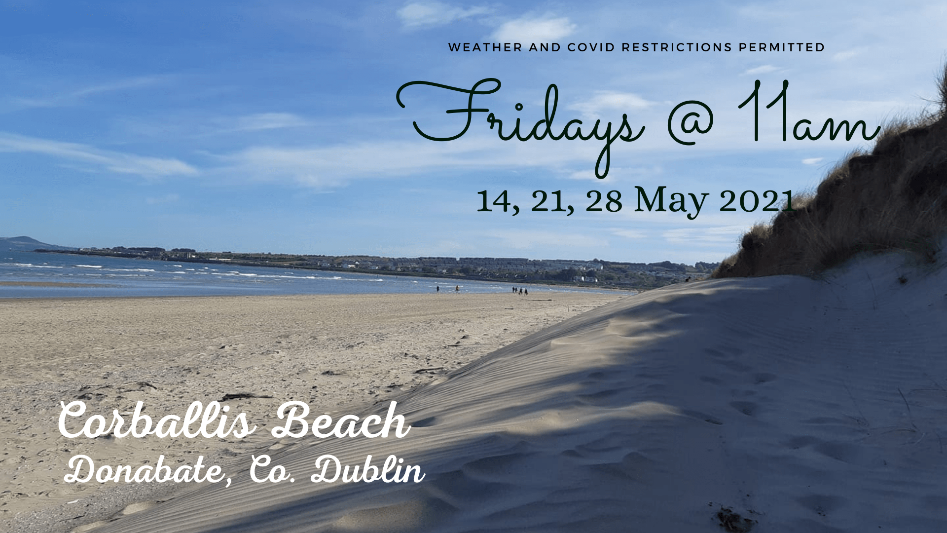 Naked Qigong on the beach - Irish Naturist Association 